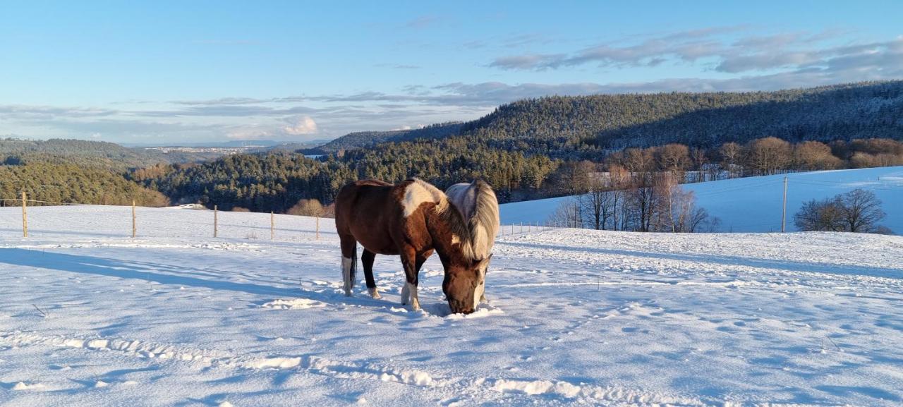 Апартаменти Urlaub An Der Grenze Лаутербах Екстер'єр фото